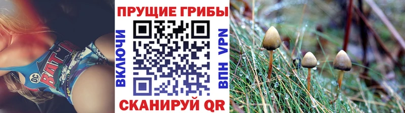 цены наркотик  Вязьма  OMG маркетплейс  Псилоцибиновые грибы мухоморы 